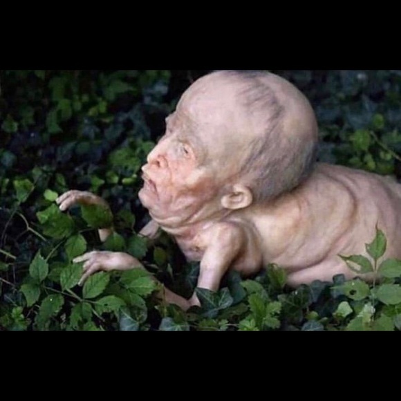 Meet your Posher, Zoe - Picture 1 of 1